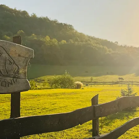 Ozonia Wellnes House 假日公园 Sahy