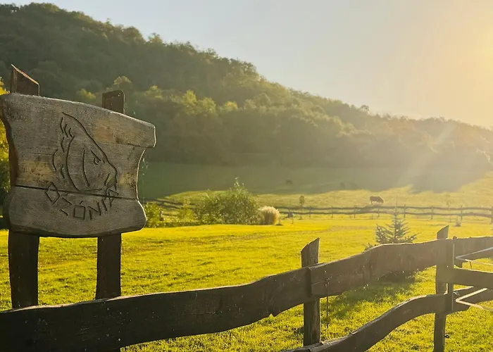 Ozonia Wellnes House Prázdninový areál Sahy